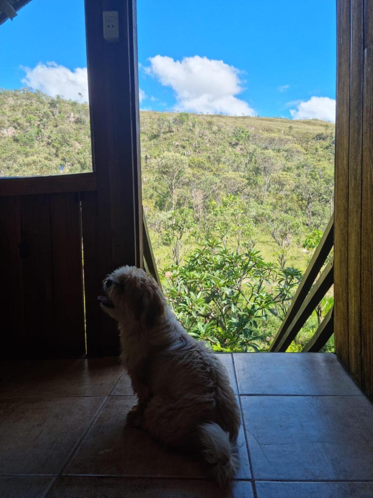 Cachoeira E Pousada Paraiso Dos Pandavas 渡假村 *